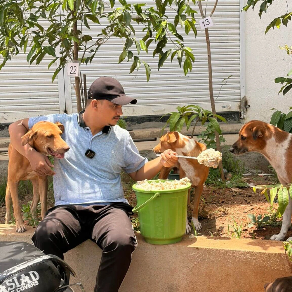 Dogs Feeding Home 2