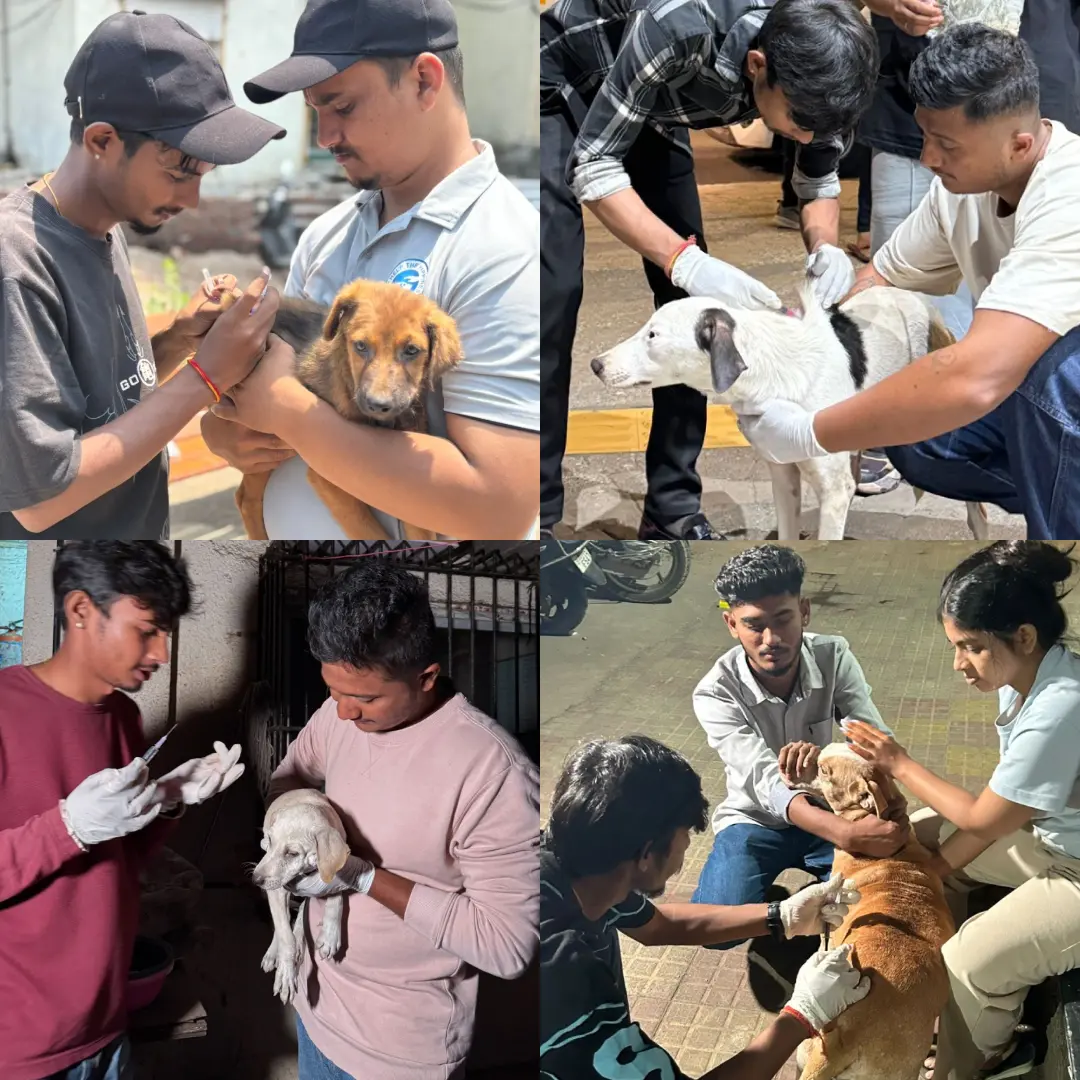 Vaccination Collage