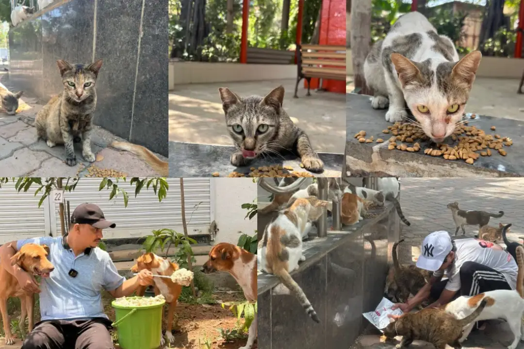 feeding 5